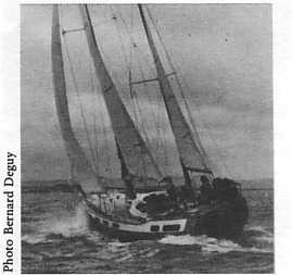 amphitrite-pub002.jpg