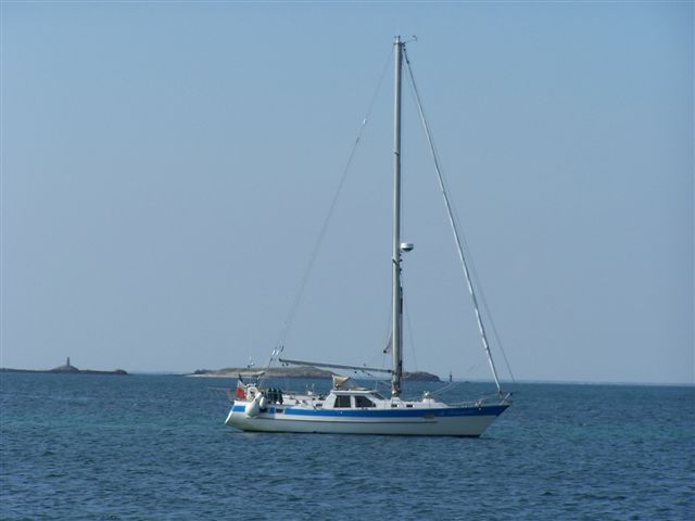 MS45tribord.jpg
